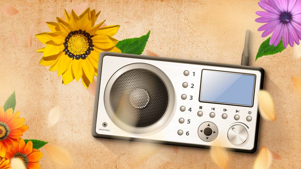 Buga Kampagne Radiospot