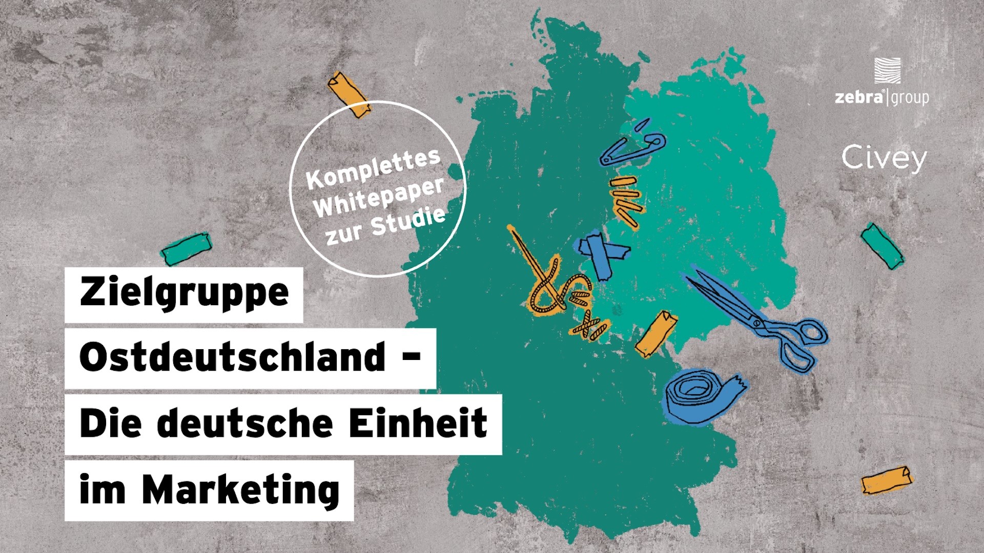 Zebra Group Ost West Studie