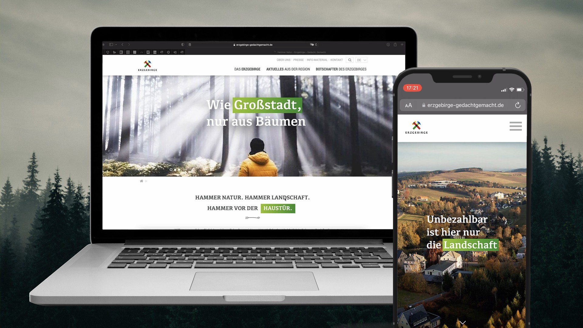 Digitalkampagne Erzgebirge Agentur Zebra Landingpages