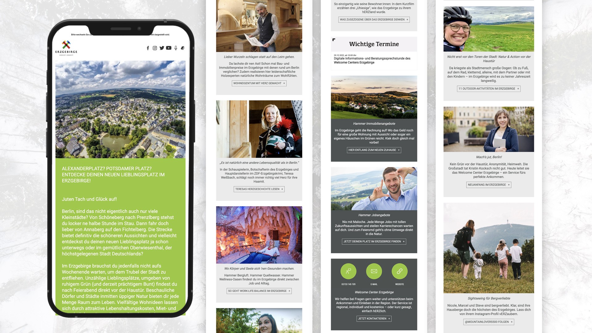 Digitalkampagne Erzgebirge Agentur Zebra Newsletter