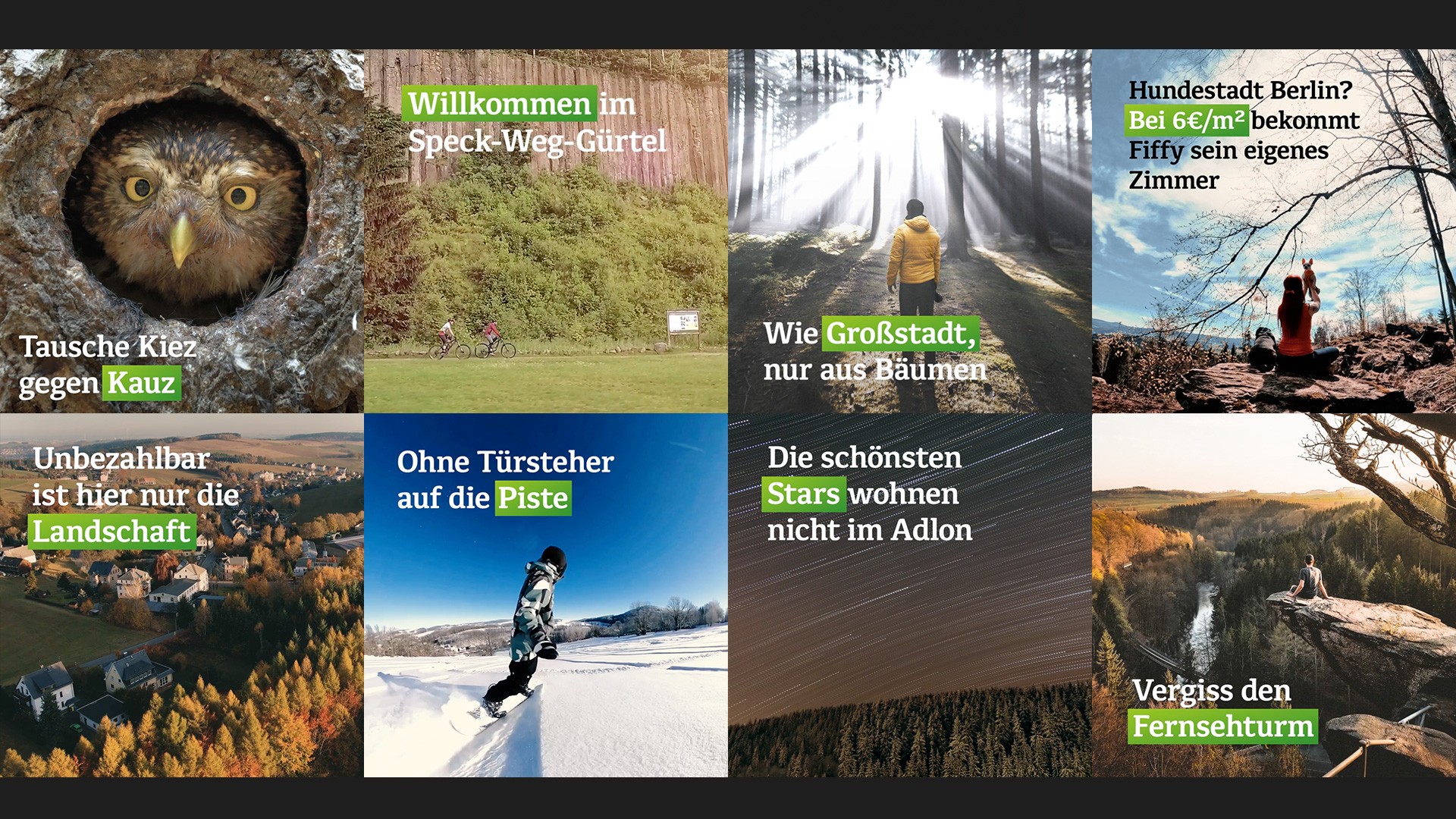 Website Case Hammerleben Motivuebersicht